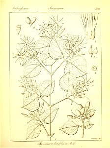 n429_w1150
