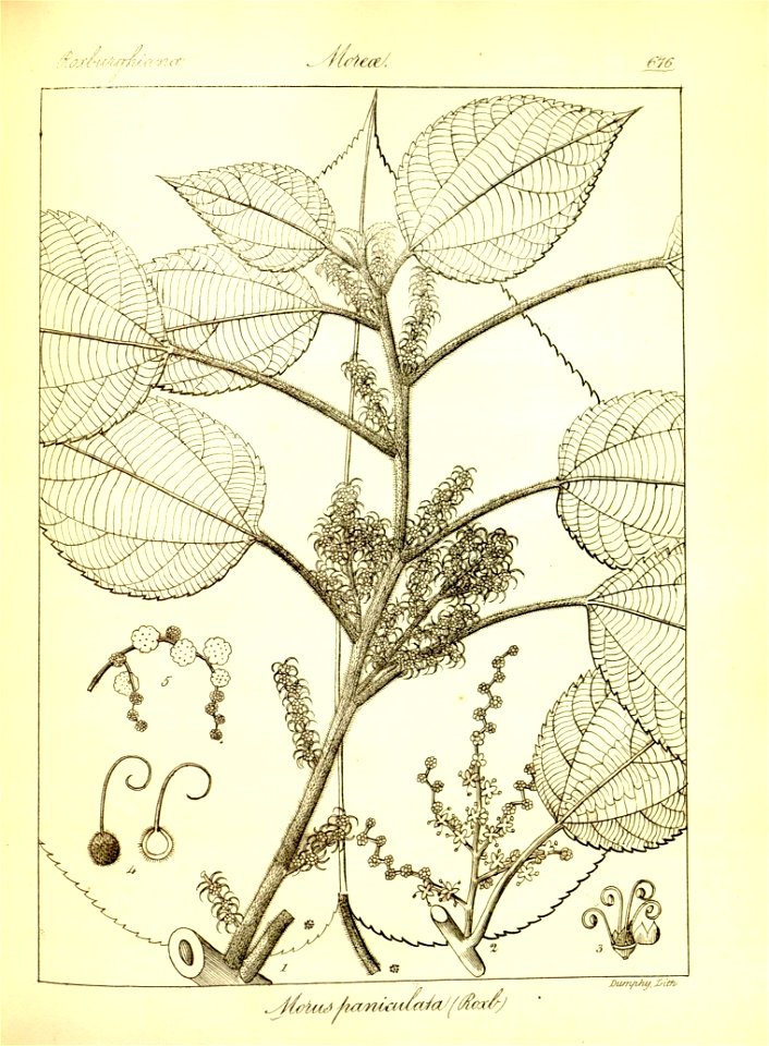 n402_w1150