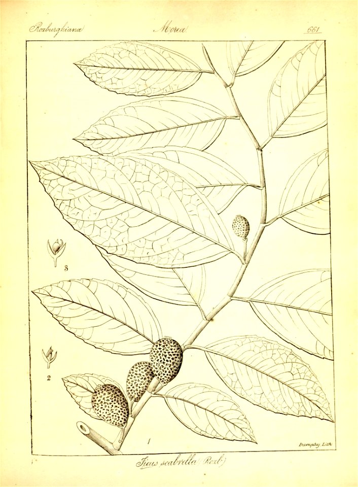 n387_w1150
