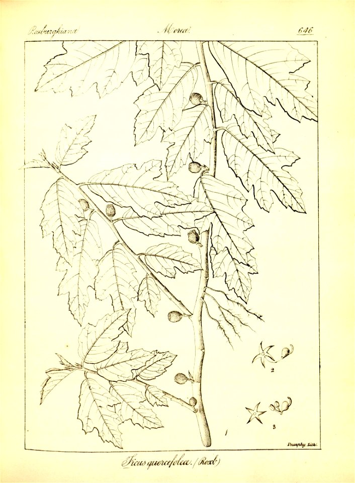 n372_w1150