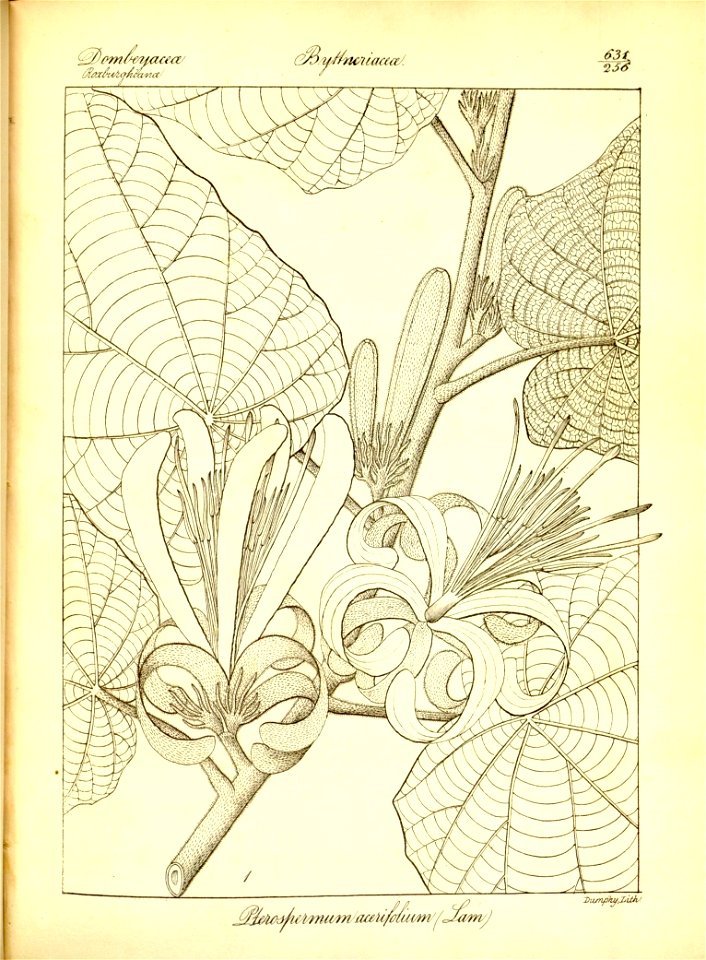 n357_w1150
