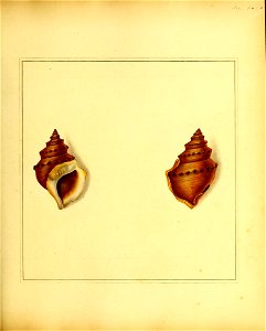 n170_w1150