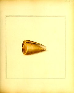n140_w1150