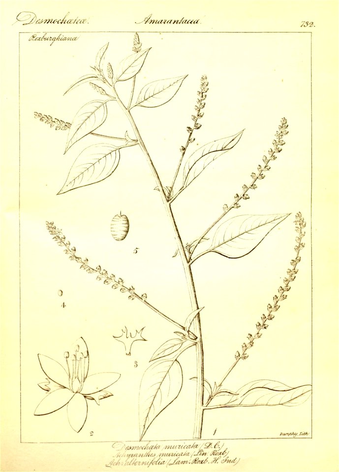 n458_w1150