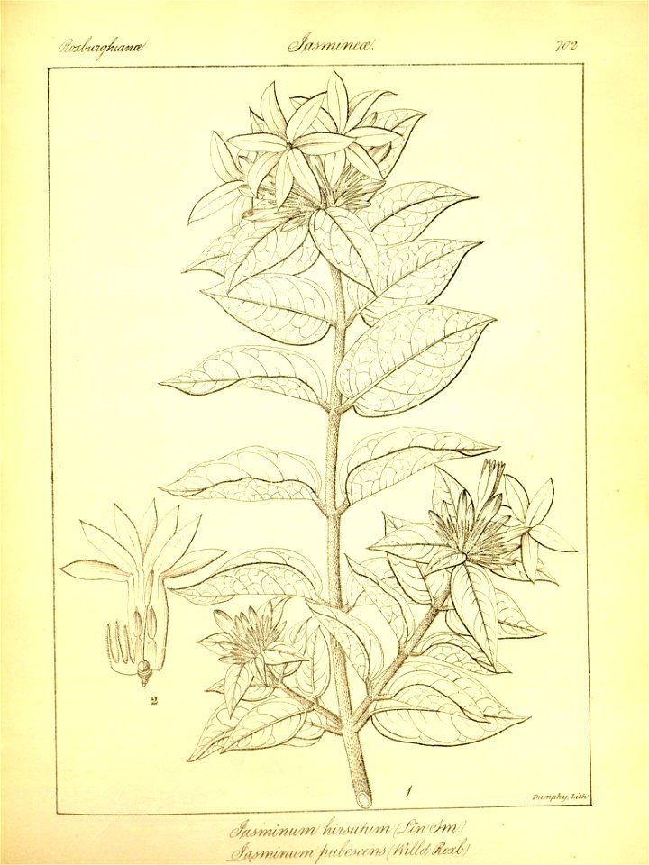 n428_w1150
