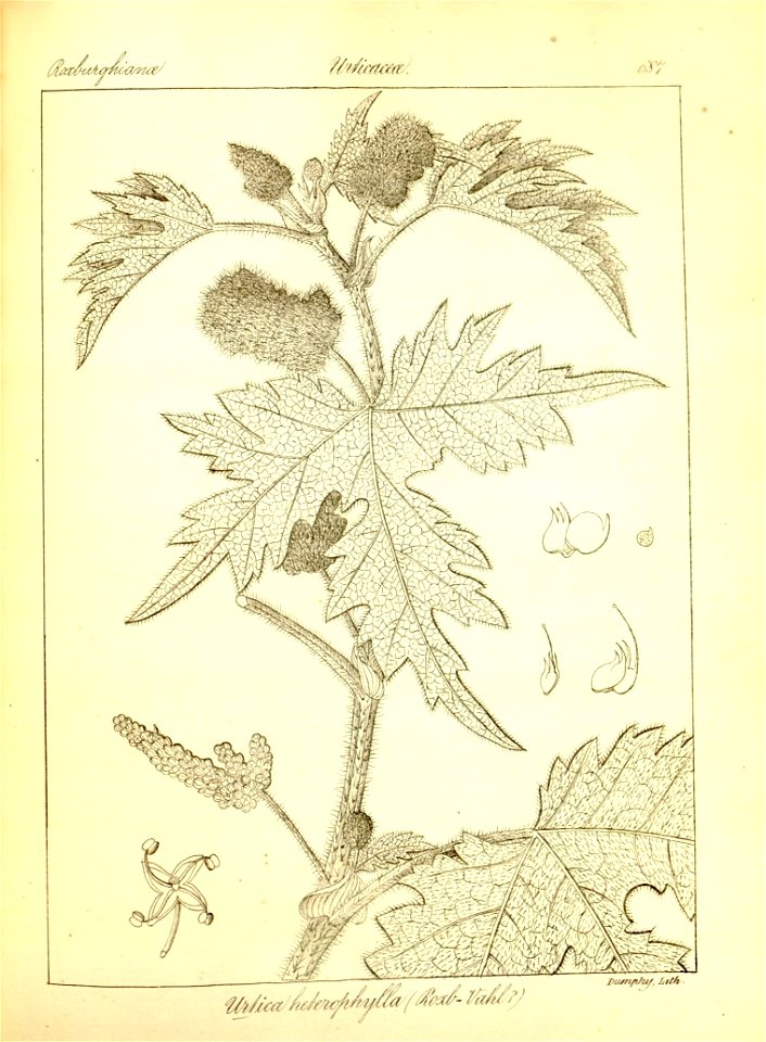 n413_w1150