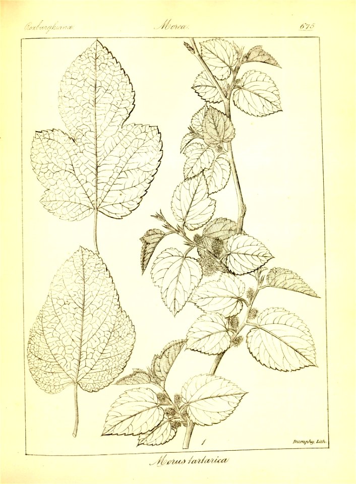 n401_w1150