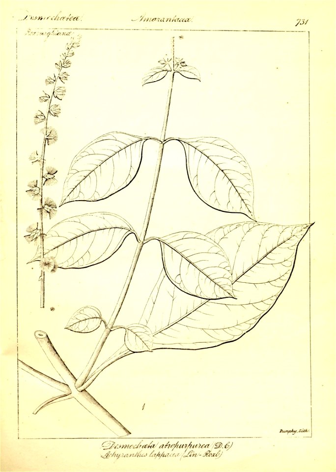 n457_w1150