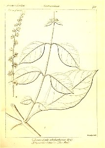 n457_w1150