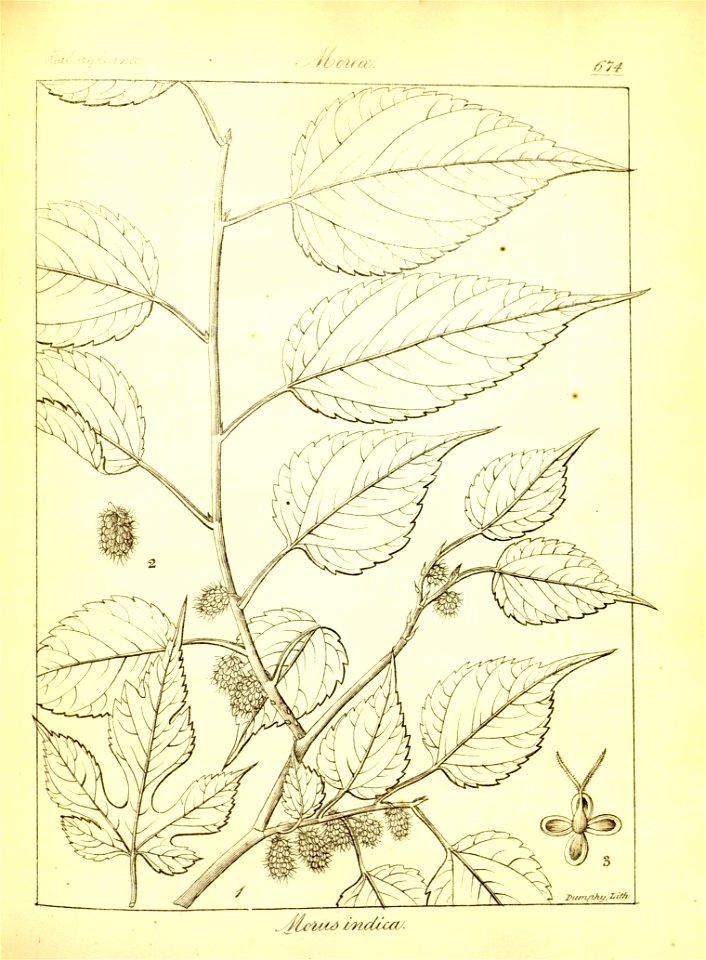 n400_w1150