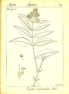 n355_w1150