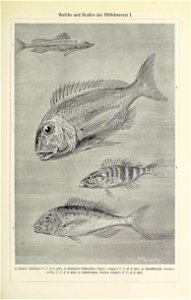 n518_w1150