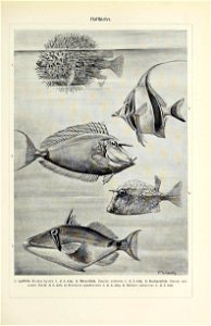 n598_w1150