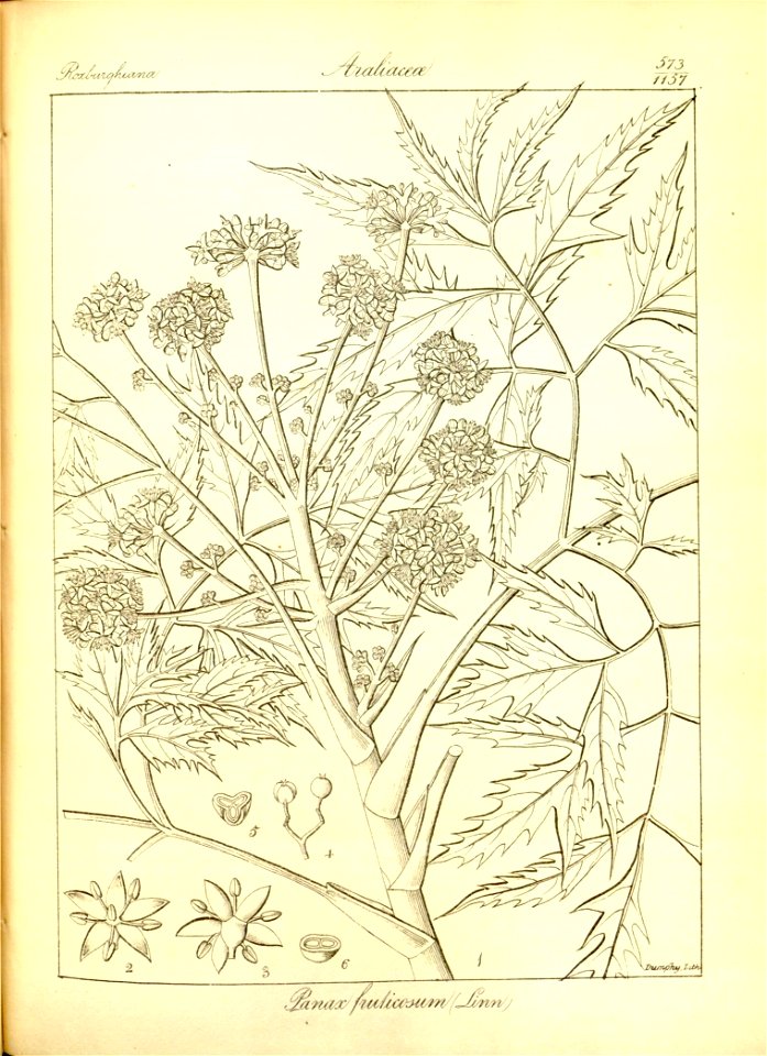 n299_w1150