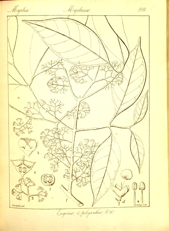 n269_w1150