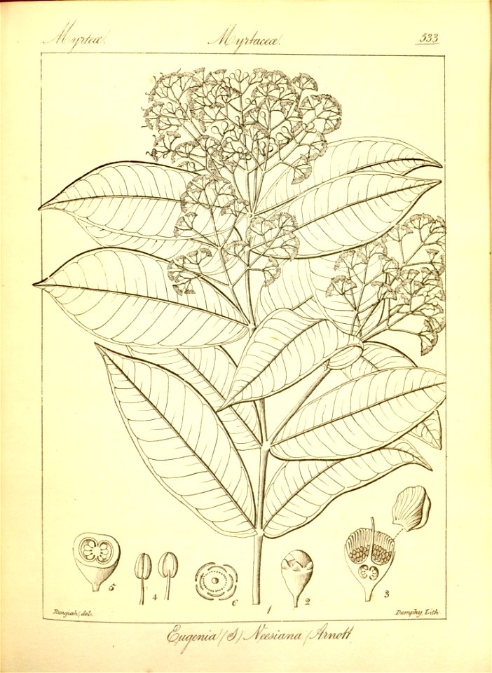 n259_w1150