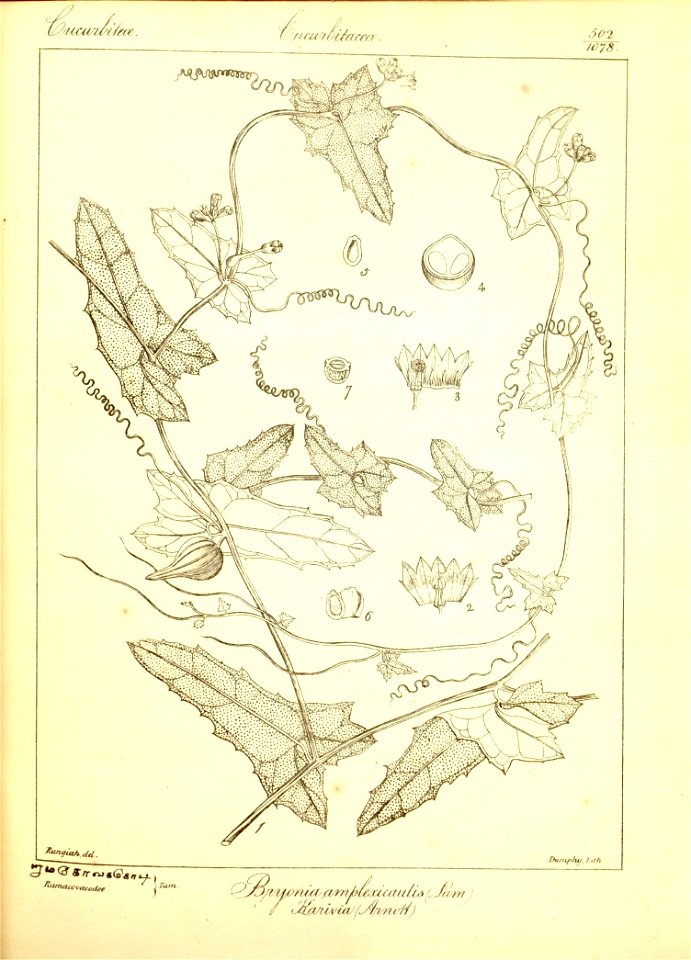 n228_w1150