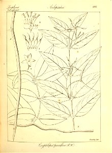 n219_w1150