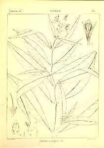n194_w1150