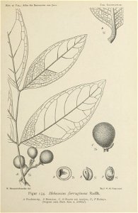 n306_w1150