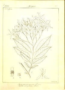 n151_w1150