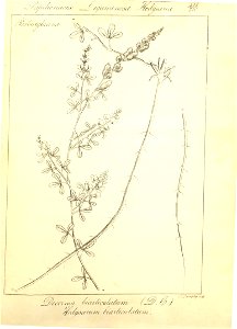 n145_w1150