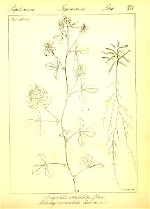 n110_w1150