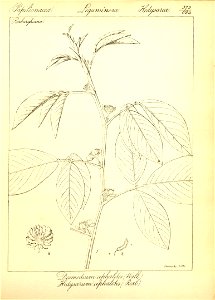 n99_w1150
