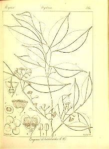 n268_w1150
