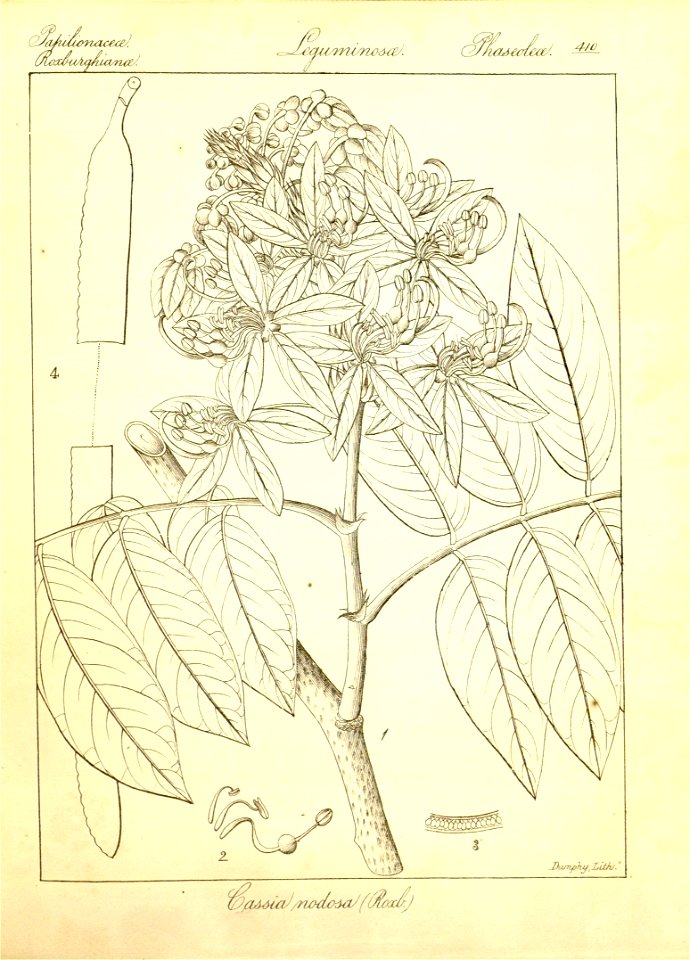 n136_w1150