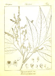 n128_w1150