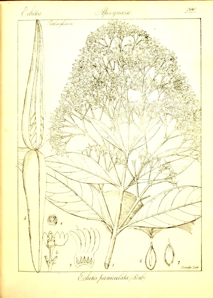 n122_w1150