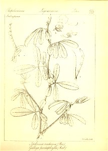n96_w1150