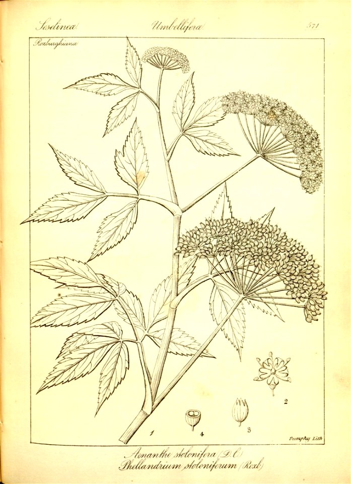 n297_w1150