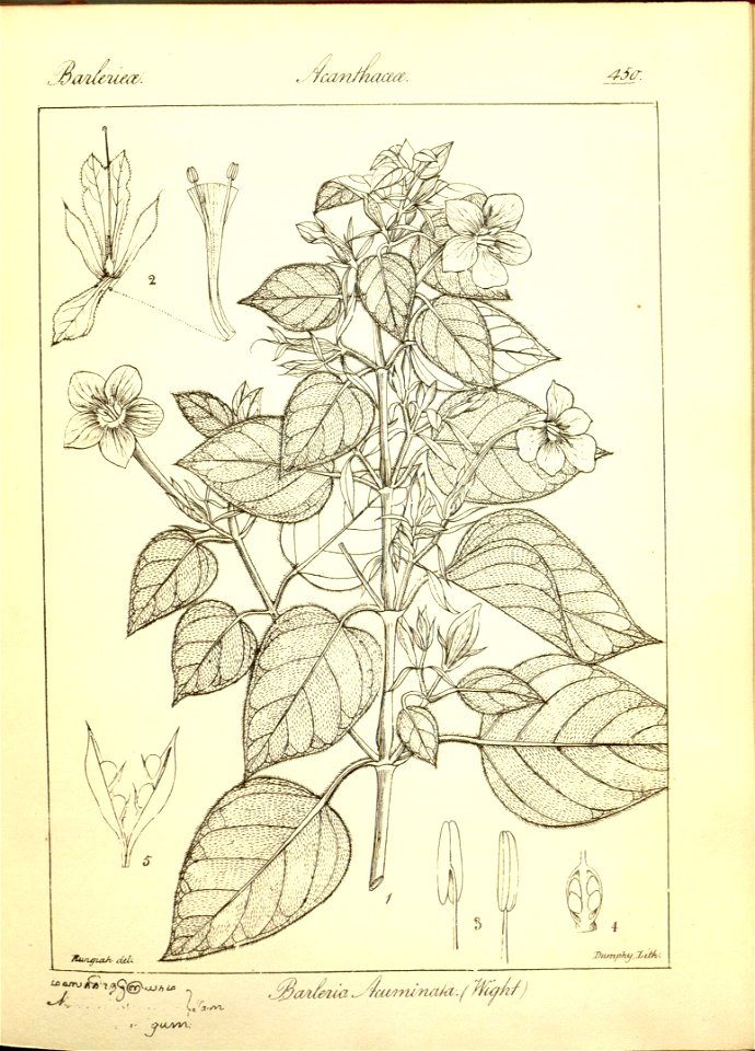 n176_w1150