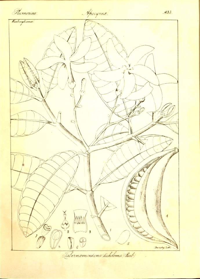 n159_w1150
