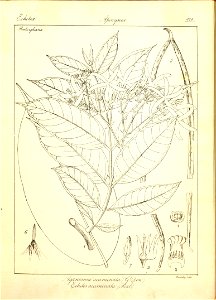 n150_w1150