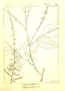 n135_w1150