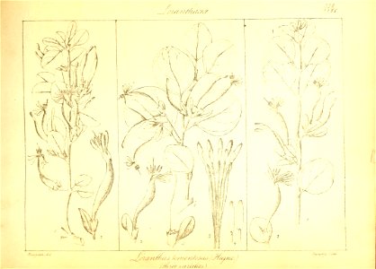 n104_w1150