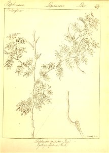n98_w1150