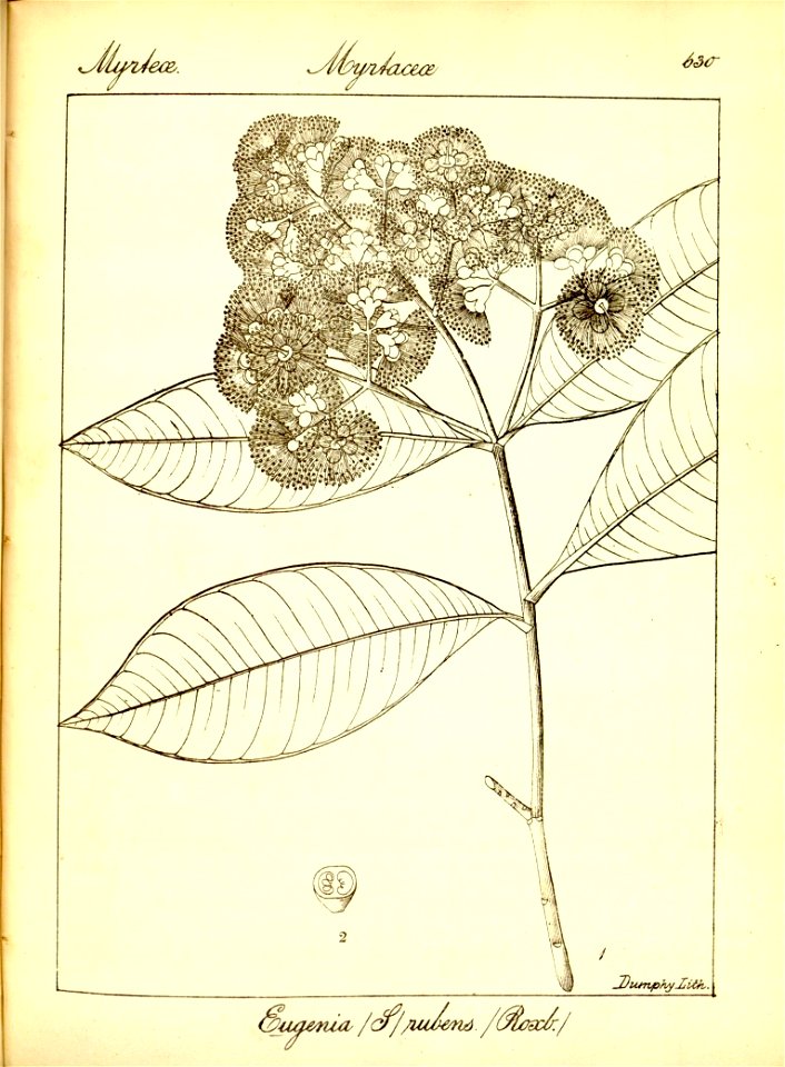 n356_w1150