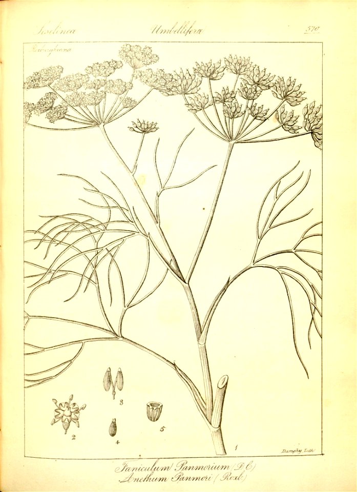 n296_w1150