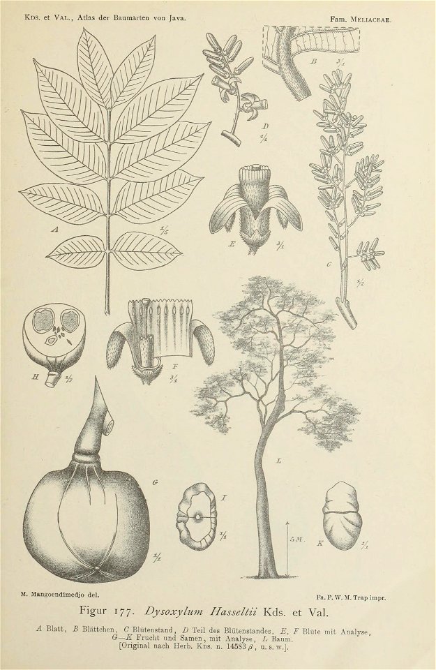 n398_w1150