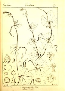 n227_w1150