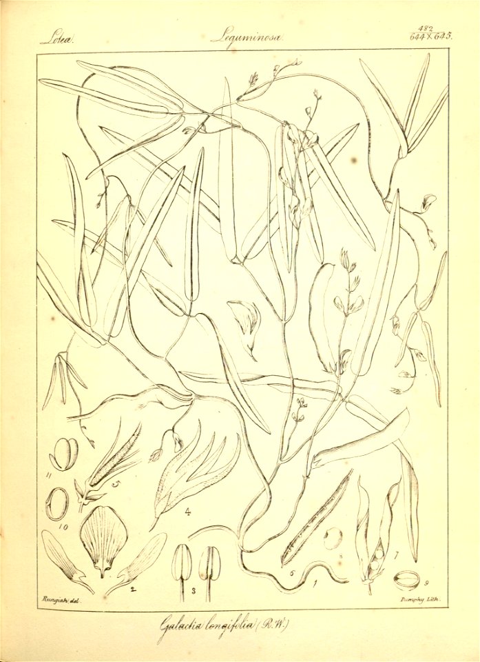 n208_w1150