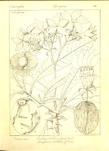 n167_w1150