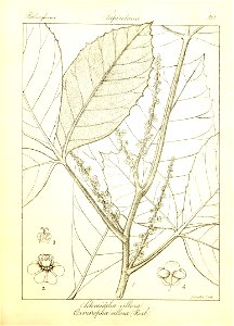 n127_w1150