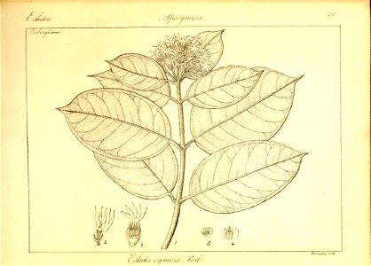 n121_w1150