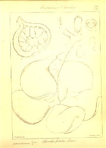 n90_w1150