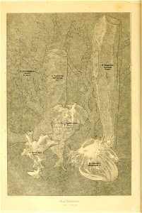 n159_w1150